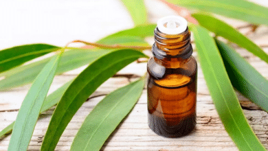 Is Eucalyptus Oil Safe For Babies In Diffuser