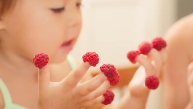 Can Babies Eat Raspberries